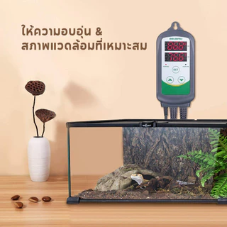 Inkbird ITC-308 220V เครื่องควบคุมอุณหภูมิดิจิตอล เทอร์โมสตัท ความร้อน และความเย็น รีเลย์คู่ สําหรับเครื่องฟักไข่เรือนกระจก