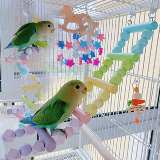 Pets Shop บันไดนกสะพานแขวนนกแก้วสะพานแกว่งสำหรับนกมาคอว์ Cockatiels Parakeets แอฟริกันเกรย์