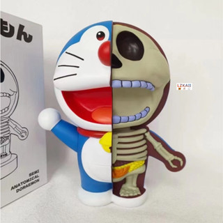 ฟิกเกอร์ Doraemon Anatomy Ver. 25 ซม. คุณภาพสูง ของเล่นสําหรับเด็ก