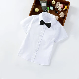 [แถมโบว์หูกระต่าย ฟรี!]เสื้อเชิ๊ตเด็ก แขนสั้น เสื้อเด็ก เชิ๊ตเด็กใน
