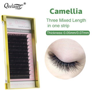 Qeelasee Camellia ขนตาปลอม 3D-6D ยาว คละแบบในกล่องเดียว