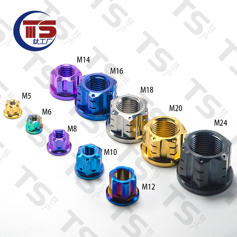 น็อตแกนหกเหลี่ยม ไทเทเนียมอัลลอยด์ สําหรับรถจักรยานยนต์ Ts M10 M12 M14 M14 M16 M18 M20 M24 ราคา ถูกที่สุด ดีลบีเคเค แกลเลอรีภาพที่ 2