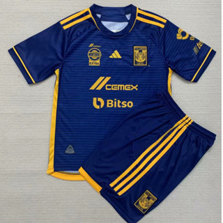 เสื้อกีฬาแขนสั้น ลายทีมชาติฟุตบอล Tigres 23/24 ชุดเยือน สีฟ้า สําหรับเด็ก