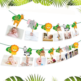 1 ชุด ธงรูปภาพสัตว์ป่า 1-12 เดือน Jungle Safari วันเกิดครบรอบครั้งแรก วัสดุตกแต่งงานเลี้ยงวันเกิด Wild One