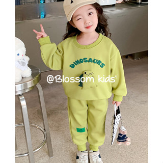 Blossom Kids Childrens Suit ชุดกีฬาและสันทนาการสำหรับเด็ก เสื้อสเวตเตอร์ลายการ์ตูนเด็กผู้ชาย ชุดเซ็ต 2 ชิ้น เสื้อแขนยาว+กางเกงขายาวสำหรับเด็ก