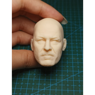 โมเดลฟิกเกอร์ Eddard Stark Ned Head Sculpt สเกล 1/6 สําหรับฟิกเกอร์ 12 นิ้ว