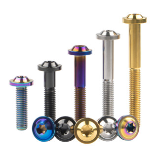 Wanyifa สลักเกลียวไทเทเนียม M8x10 15 20 25 30 35 40 50 60 70…