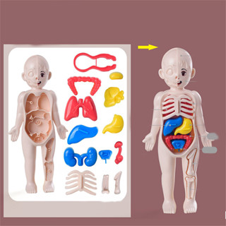 โมเดลพลาสติก ของเล่นวิทยาศาสตร์ เพื่อการเรียนรู้ สําหรับเด็ก