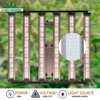 ไฟปลูกผัก LED grow light  240w 320w Samsunglm301H ไฟ UV ปลูกต้นไม้ Meanwell driver ปรับความสว่างได้ ช่วยให้พืชเจริญเติบโตอย่างรวดเร็ว