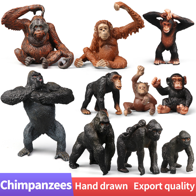 โมเดลฟิกเกอร์ PVC รูปสัตว์ป่า Chimpanzee Orangutan Gorilla ของเล่นเสริมการเรียนรู้ สําหรับเด็ก