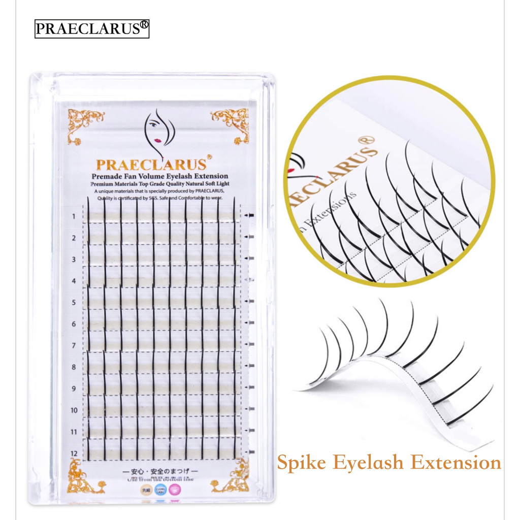 PRALECLARUS 120 พัดลม 0.07mm CDDD 8-15mm ผสมขนตาปลอมเข็มต่อขนตา Prefab ส่วนบุคคล Slim Spike เอฟเฟกต์ Fairy Eyelashes มืออาชีพผ้าไหมสีดำขนมิงค์ขนตา