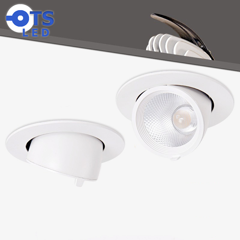 TS LED อลูมิเนียม ไฟเพดาน ไฟดาวน์ไลท์ การหมุน 360° สปอตไลท์ โคมไฟเพดาน 220V COB ไฟตู้โชว์ 10W/20W/30W/40W
