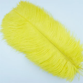 ขนนกกระจอกเทศ ขนาด 20-25 ซม. 8-10 นิ้ว สีขาว สําหรับทําเครื่องประดับ งานฝีมือ งานแต่งงาน 10 ชิ้น ต่อล็อต
