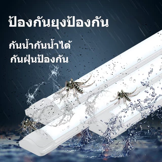 หลอดไฟ LED หลอดไฟนีออน ไฟพกพา Tube Light หลอดไฟยาว แถบ ฟลูออเรสเซนต์ ประหยัด พร้อมสวิตซ์สาย