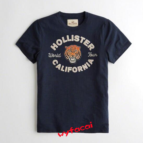 Hollister California 1868 Heartbeat T-Shirt quick drying shirt summer top  graphic t shirts men clothing - AliExpress