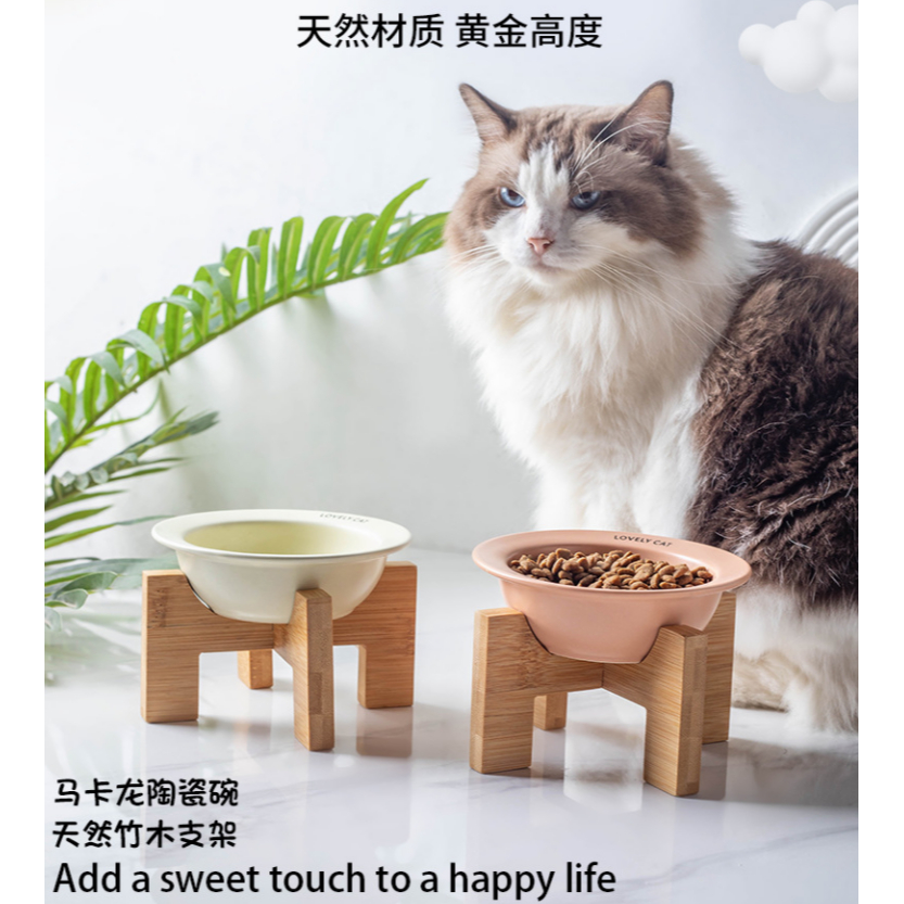 ชามไม้เซรามิค ป้องกันกระดูกสันหลังส่วนคอ สําหรับสัตว์เลี้ยง สุนัข แมว