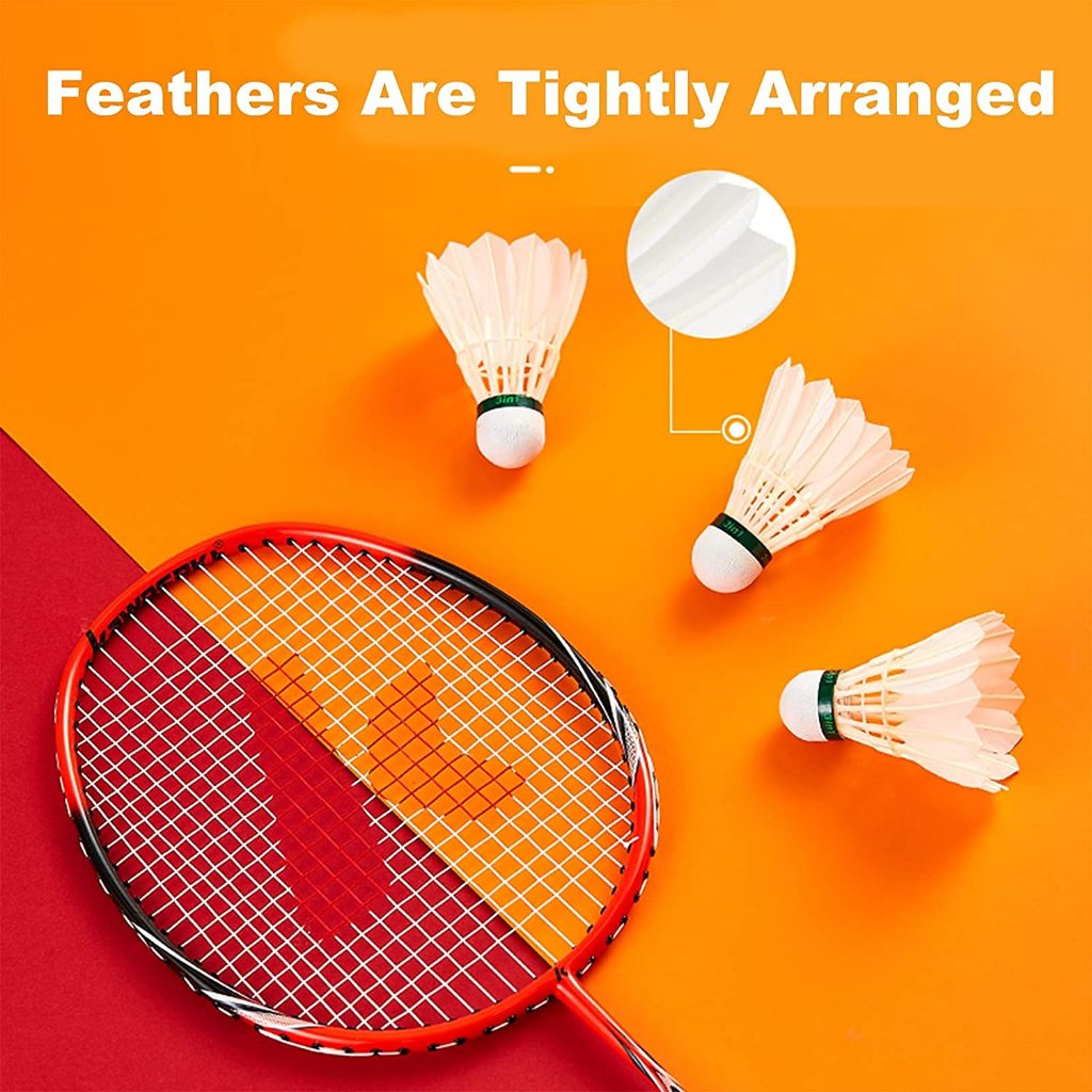 รูปภาพ 6