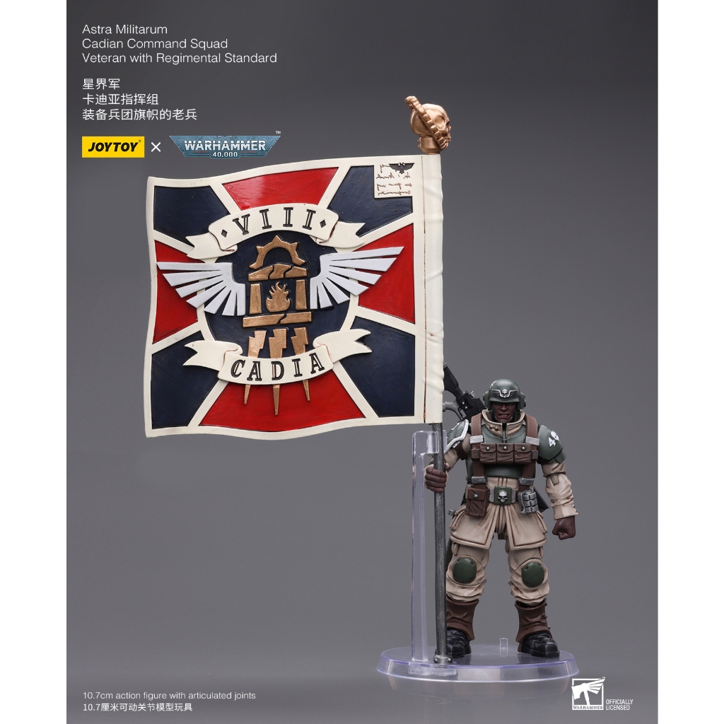 (พร้อมส่ง) ฟิกเกอร์ Astra Militarum Cadian Command Squad Veteran พร้อมฟิกเกอร์ JoyToy ขนาด 4 นิ้ว