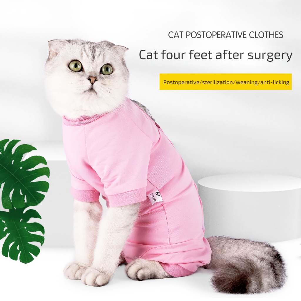 DOTON ชุดแมว ป้องกันการเลีย วัสดุสําหรับแมวทุกตัว