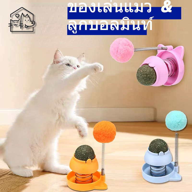 ใหม่ ของเล่นลูกบอล ขนมขบเคี้ยว สําหรับแมว