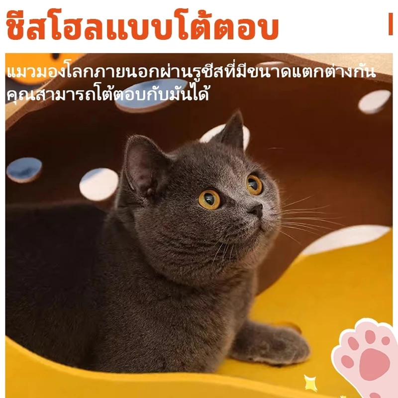 อุโมงค์แมว ของเล่นแมว เต็นท์แมว พับได้ thumbnail 5