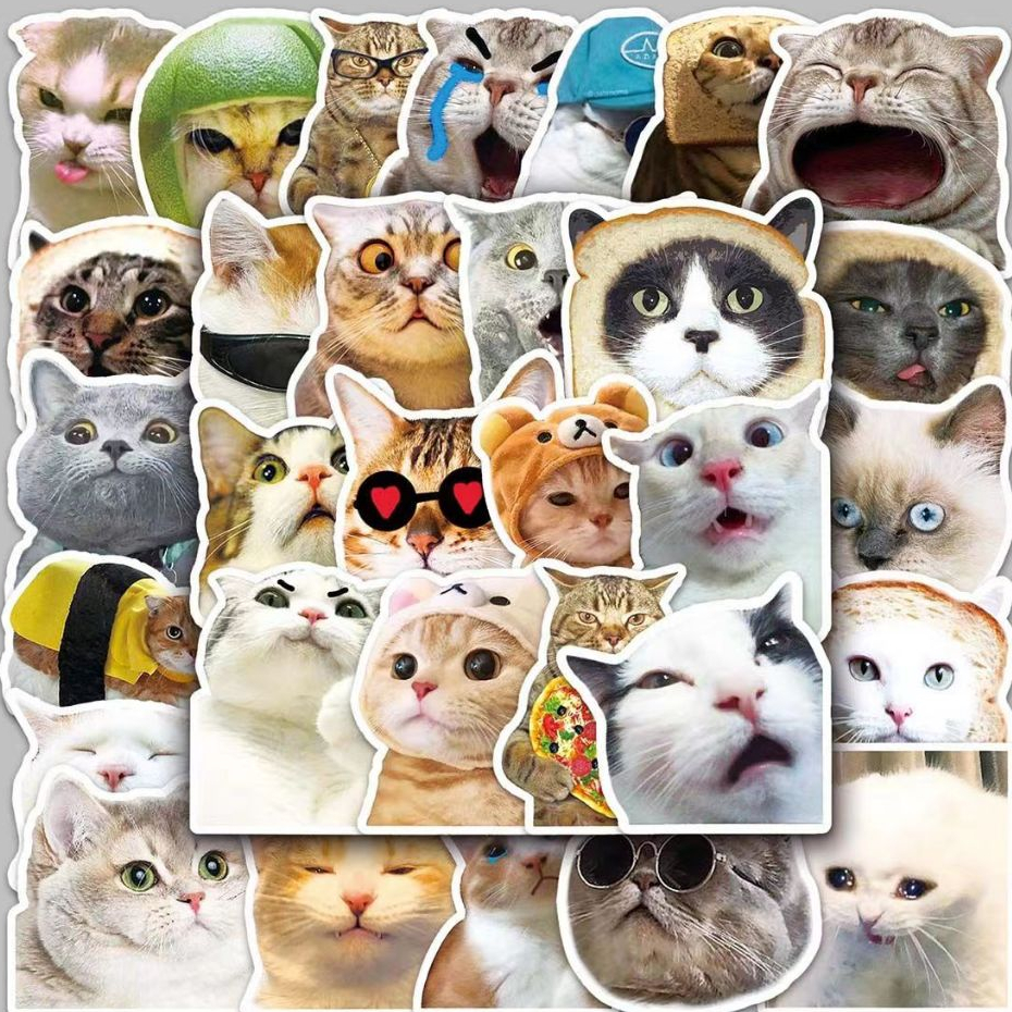 50 ชิ้นแมวตลก DIY การ์ตูน Graffiti สติกเกอร์กันน้ําสําหรับ DIY โทรศัพท์แล็ปท็อปโน้ตบุ๊คกีตาร์จักรยานหมวกกันน็อครถตกแต่ง Decal