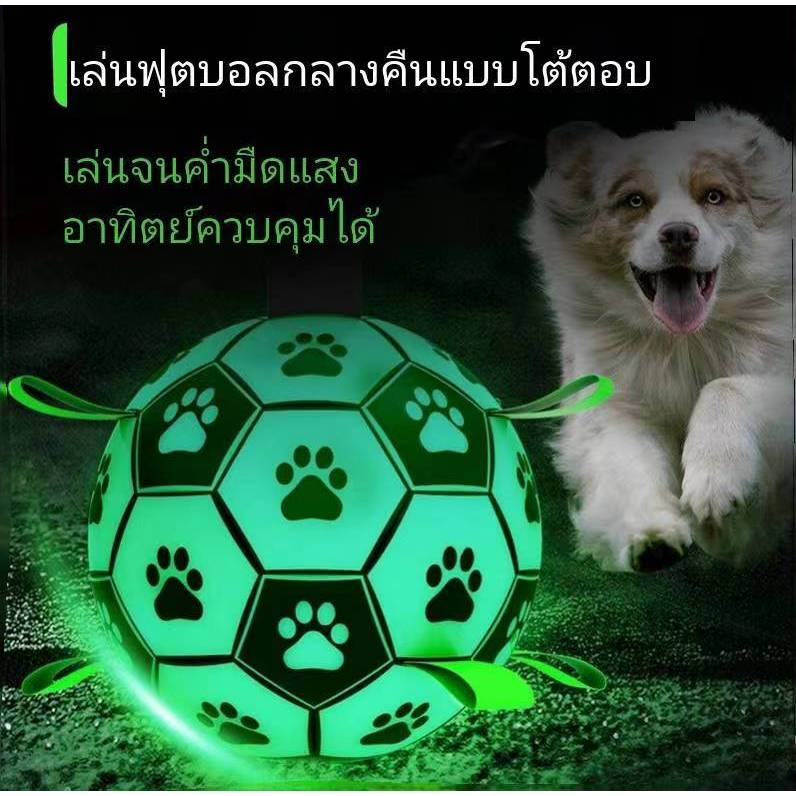 ลูกสุนัข ของเล่น แสงกลางคืน ฟุตบอล ball ปฏิสัมพันธ์ ของเล่นสุนัข สัตว์เลี้ยง ลูกบอล ของเล่นสุนัขใหญ่