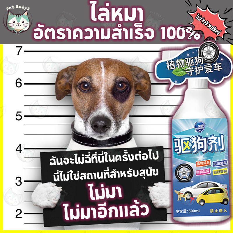 ไล่หมา ไล่แมว สเปรย์ป้องกันสุนัข แมว ขับถ่าย สูตรเข้มข้น ฝึกขับถ่าย (เก็บเงินปลายทางได้ ส่งทุกวัน) 🔥