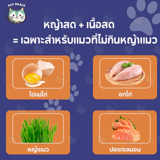 PETBABYS🌱หญ้าแมวอัดแท่ง😸หญ้าแมวฟรีซดราย 50กรัม ขนมหญ้าแมวบำรุงขน อกไก่ผสมต้นอ่อนข้าวสาลีฟรีซดราย