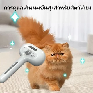 Pet Beauty Comb with Spray Massage Comb หวีแปรงไฟฟ้าสถิตย์ พร้อมสเปรย์ สําหรับสัตว์เลี้ยง สุนัข แมว แปรงขนหมา หวีขนแมว
