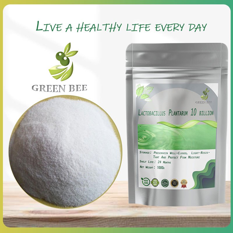 【สุดคุ้ม 1000 กรัม】Lactobacillus plantarum 10 พันล้านแบคทีเรีย กรดแลคติก ต่อต้านริ้วรอย ปกป้องตับ เน