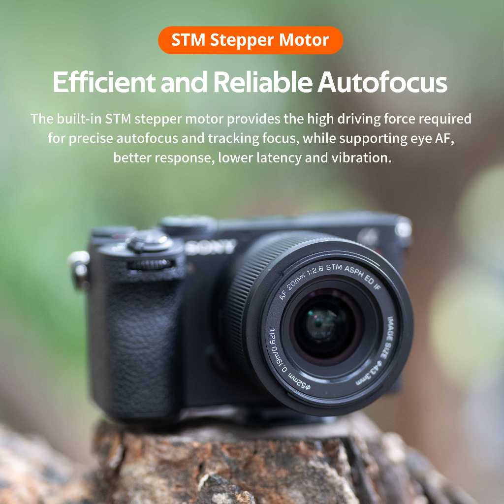 รูปภาพ 5