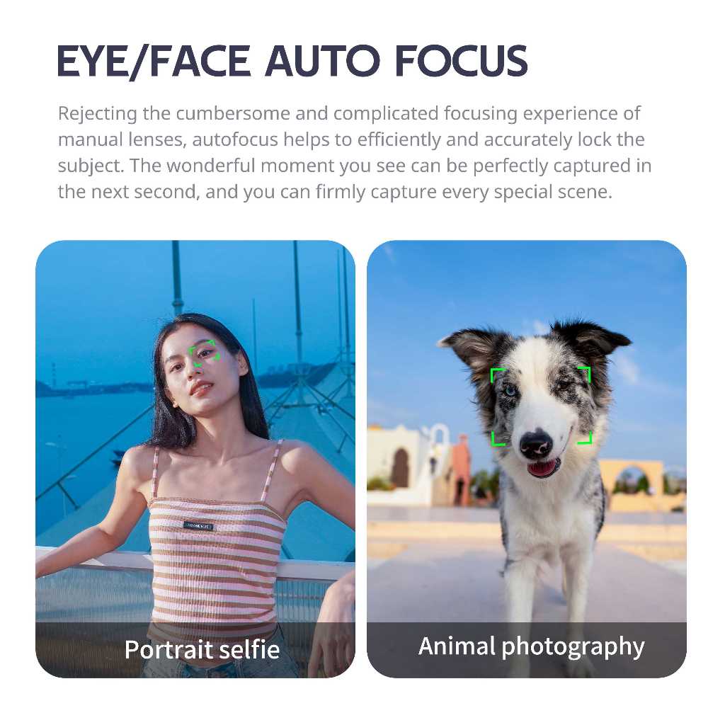 รูปภาพ 6