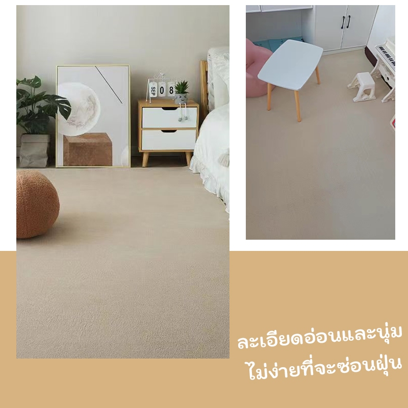 พรมปูพื้นห้องนอน พรมขนสั้น พรมปูพื้น วัสดุขนแกะปะการัง รูปที่ 4