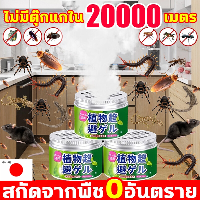【ไม่มีแมลงสาบใน1000เมตร】ไล่แมลงสาบ เหยื่อแมลงสาบ ยาฆ่าแมลงสาบ คุณภาพญี่ปุ่น ที่ดักแมลงสาบ เปิดฝาพร้อมใช้ กำจัดแมลงสาบ กับดักแมลงสาบ อายุบังคับใช้ 36 เดือน สูตรพืช ปลอดภัยต่อคุณแม่และลูกน้อย กำจัดจิ้กจก แมลงสาบ ตุ๊กแก ตะขาบ หนู แมงมุม ยุง เจลกำจัดแมง