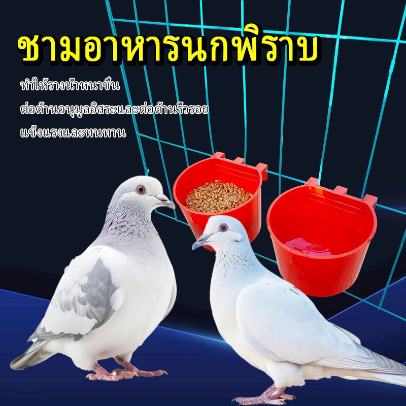 ✨✨ไก่ เป็ด ชามอาหารไก่ และชามน้ำดื่ม ถ้วยน้ำพลาสติก และกล่องอาหารสำหรับนก