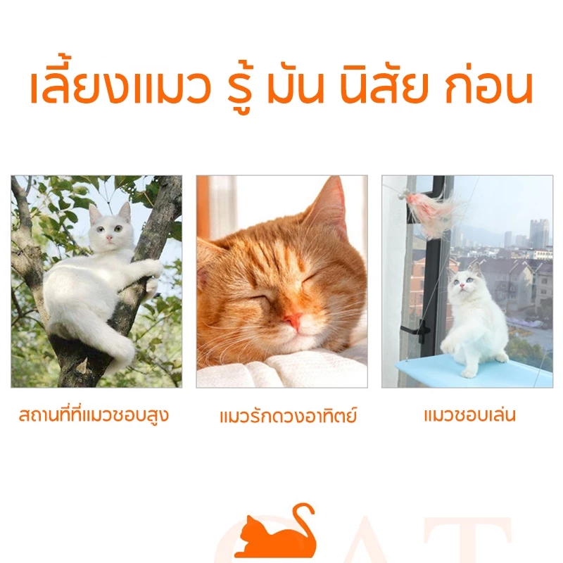 เปลแมวติดกระจก รับน้ำหนักได้ 20 kg ที่นอนแมว thumbnail 5