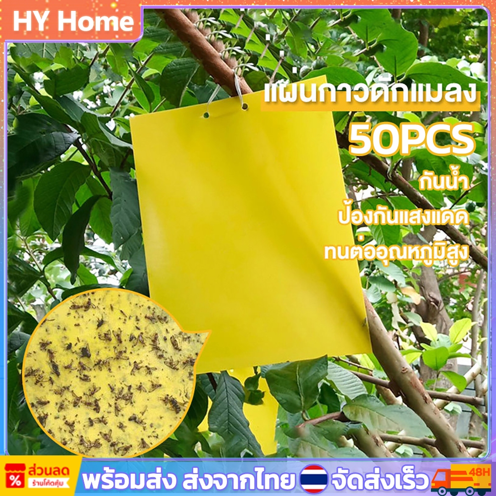 [พร้อมส่ง] 50 แผ่น กาวดักแมลงวันทอง สีเหลือง แผ่นกาวดักแมลง กาวเหนียว 2 ด้าน เหนียว ทนแดด มีกาวในตัว