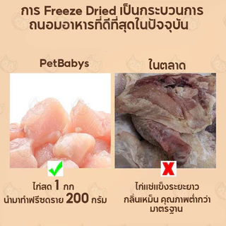 🐶ฟรีซดรายแมว🐱อกไก่ฟรีซดราย Freeze Dried Chicken Breast อกไก่เต๋า อกไก่ฟรีซดรายเต๋า ขนมแมว 100g