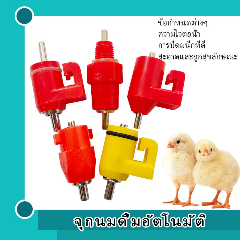 ✨✨ที่ให้น้ําดื่มอัตโนมัติ สําหรับไก่ เป็ด และ geese