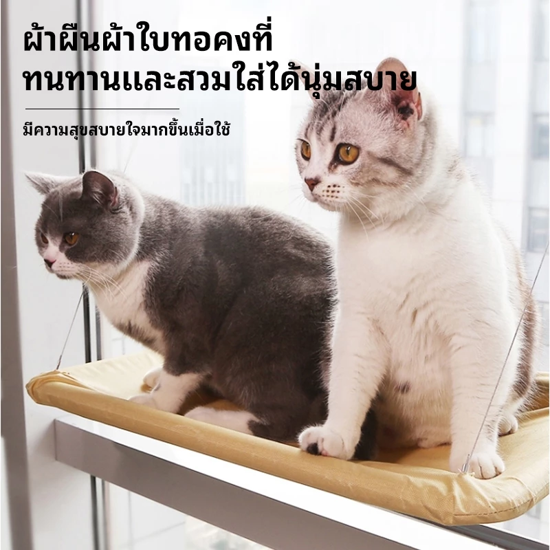 เปลแมวติดกระจก ขนาด 55x35 ซม thumbnail 6