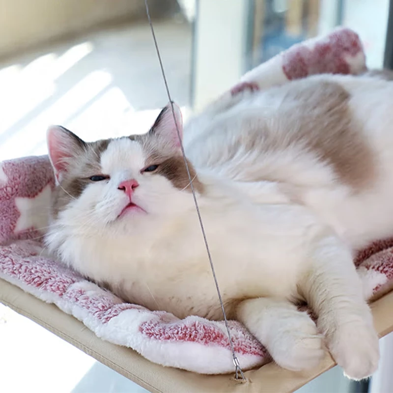 เปลแมวติดกระจก ขนาด 55x35 ซม thumbnail 9