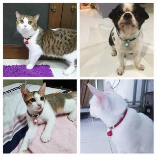 Pawsome สไตล์ญี่ปุ่นปลอกคอแมวไนลอนสร้อยคอระฆังลูกแมวปรับ ความปลอดภัยสัตว์เลี้ยงอุปกรณ์เสริมสําหรับขนาดเล็กและลูกแมว