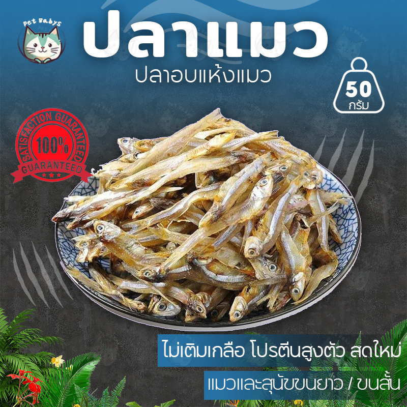 ขนมแมว ปลาแมวปลาอบแห้งแมวไม่เค็ม ปลอดภัยต่อไต ขนาดสดใหม่ปลาอบแห้งไม่เติมเกลือขนมน้องแมวน้องหมา50กรัม
