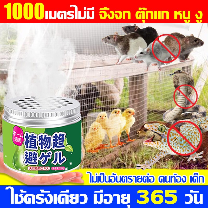 ตุ๊กแกวิ่งหายไปใน 1 วินาที ยากำจัดจิ้งจก ไล่จิ้งจกถาวร สูตรพืช แม่และเด็กใช้ได้ ไล่จิ้งจก มีให้เลือกทั้งในร่มและกลางแจ้ง ยาไล่จิ้งจก แมลงสาบ ยุง ยาฆ่าจิ้งจก แมลงวัน กำจัดจิ้งจก ไล่ตุ๊กแก ยาเบื่อจิ้งจก ยาไล่ตุ๊กแก ไล่ตะขาบ