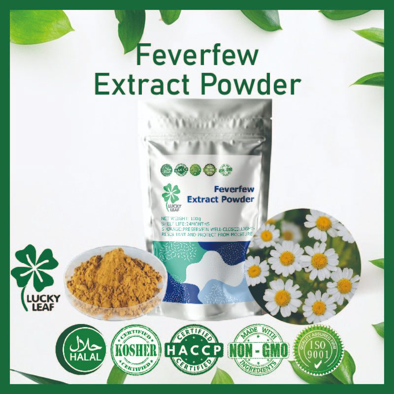 Feverfew ผงสกัด ผ่อนคลายอารมณ์ ข้อต่อ และผิวหนัง ได้รับการรับรองจากโคเชอร์และฮาลาล