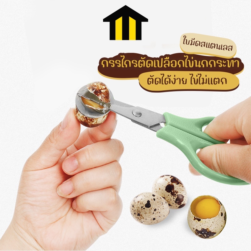 Fengjue กรรไกรตัดเปลือกไข่นกกระทา กรรไกรตัดเปลือกไข่ขนาดเล็ก TH