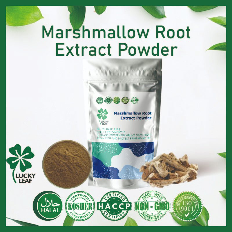 Marshmallow ผงสกัดรากตื้น สารต้านอนุมูลอิสระ การอักเสบ สุขภาพ รองรับโคเชอร์ ได้รับการรับรองฮาลาล