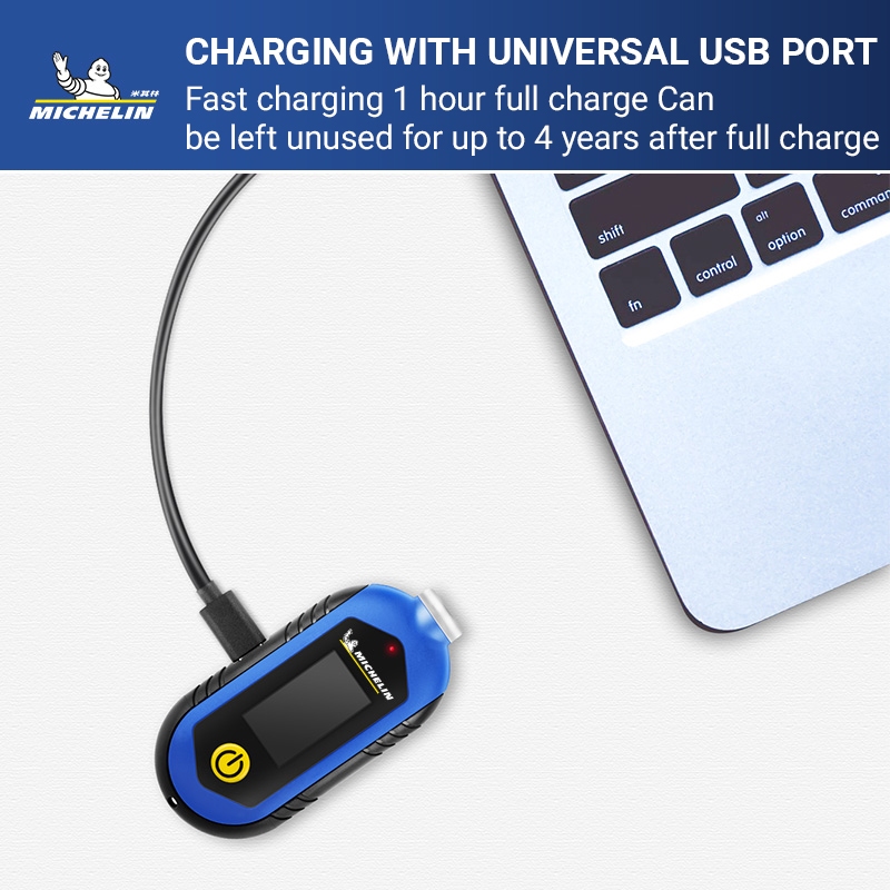 เครื่องวัดความดันลมยาง M2209 M2210 Michelin อเนกประสงค์ พร้อมไฟ LED - รูปที่ 5