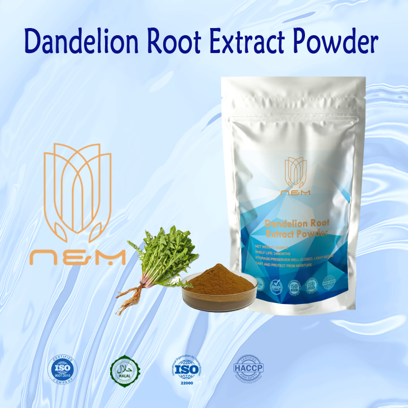 Dandelion Root Extract Powder/ปกป้องตับ/สารต้านอนุมูลอิสระ/Kosher&HALAL ได้รับการรับรอง